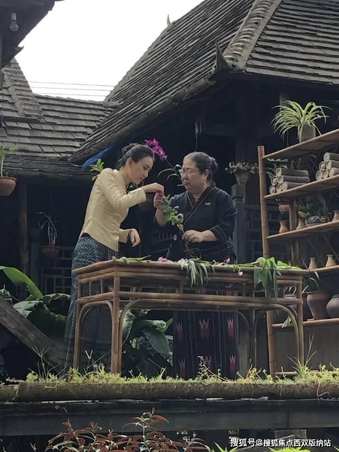召唤神龙万宁版祖龙