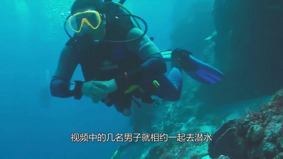 次元喵