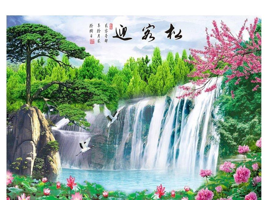 春雨直播app